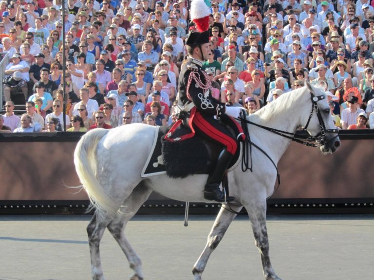 Basel Tattoo 2013 (23)