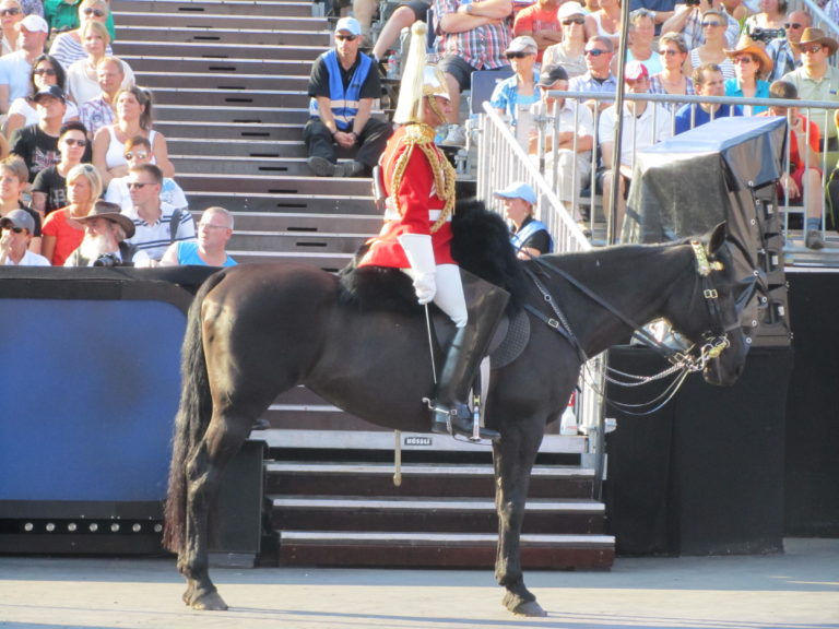 Basel Tattoo 2013 (24)