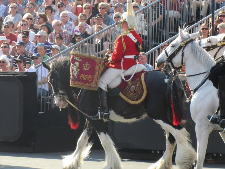 Basel Tattoo 2013 (4)