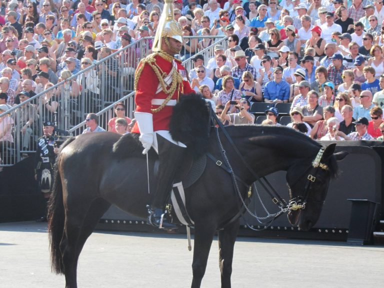 Basel Tattoo 2013 (7)