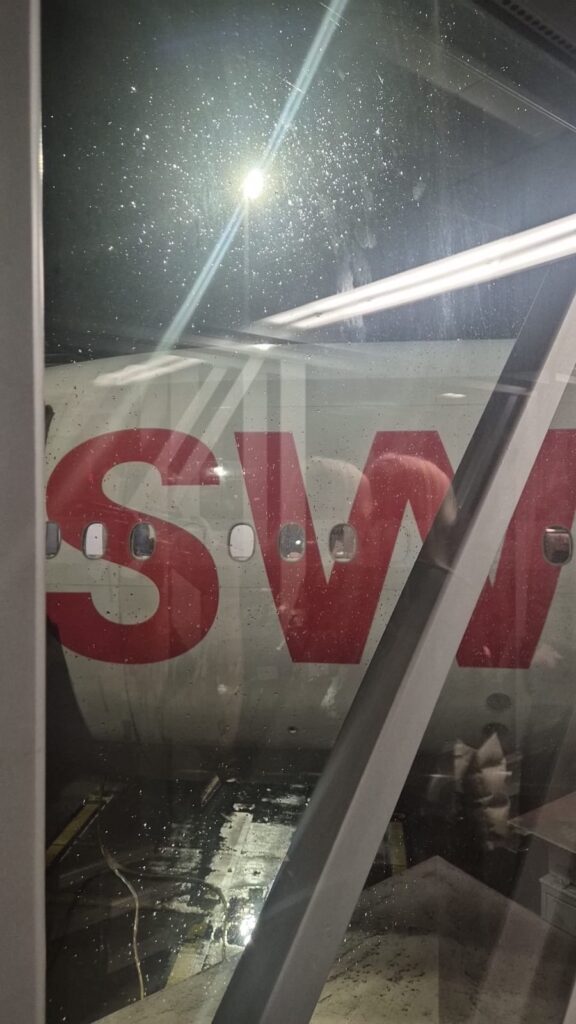 12.02.2026 Brasil (10)