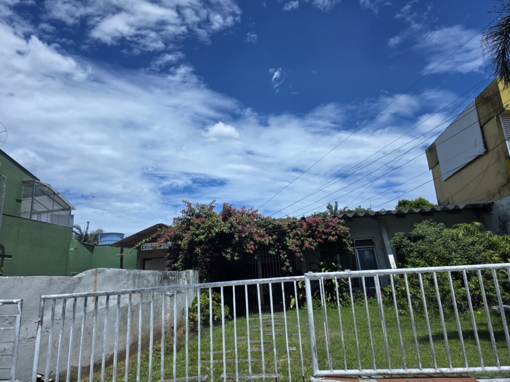 13.02.2026 Brasil (11)