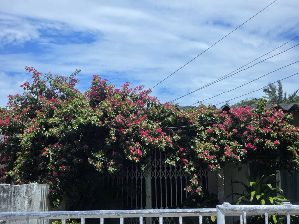 13.02.2026 Brasil (15)