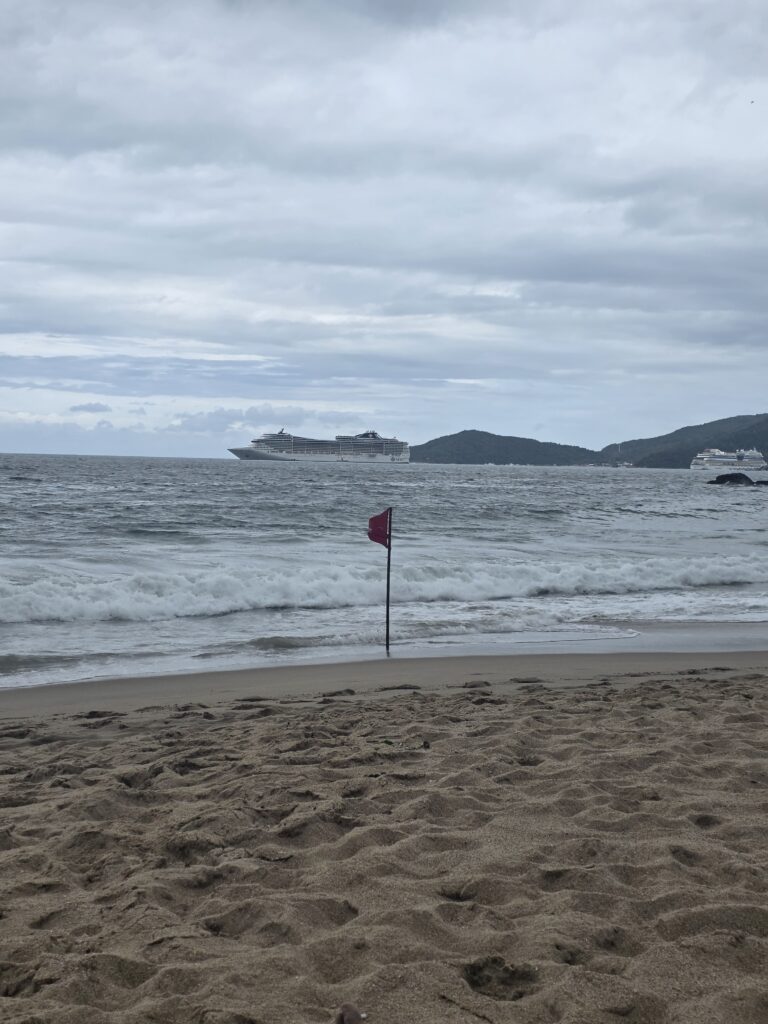 14.02.2026 Brasil (1)