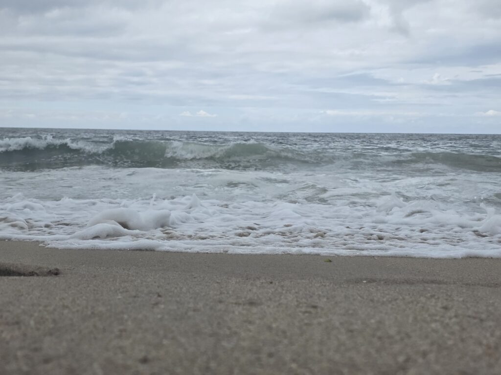 14.02.2026 Brasil (100)