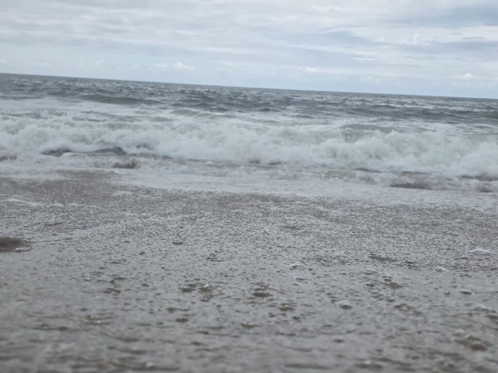 14.02.2026 Brasil (101)