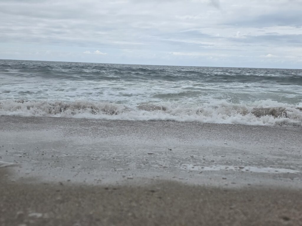 14.02.2026 Brasil (102)