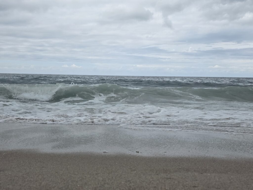 14.02.2026 Brasil (103)