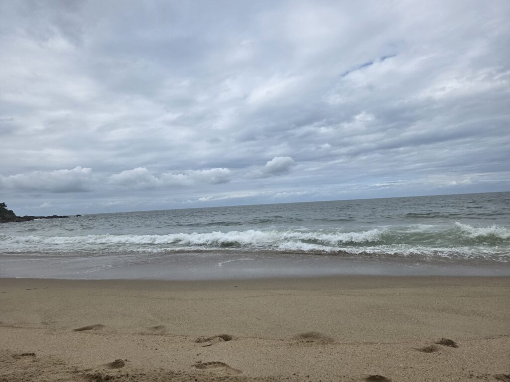 14.02.2026 Brasil (104)