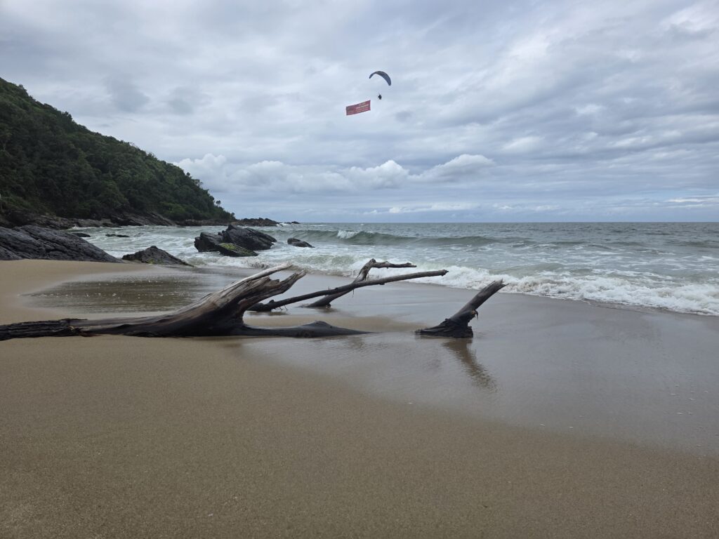 14.02.2026 Brasil (106)