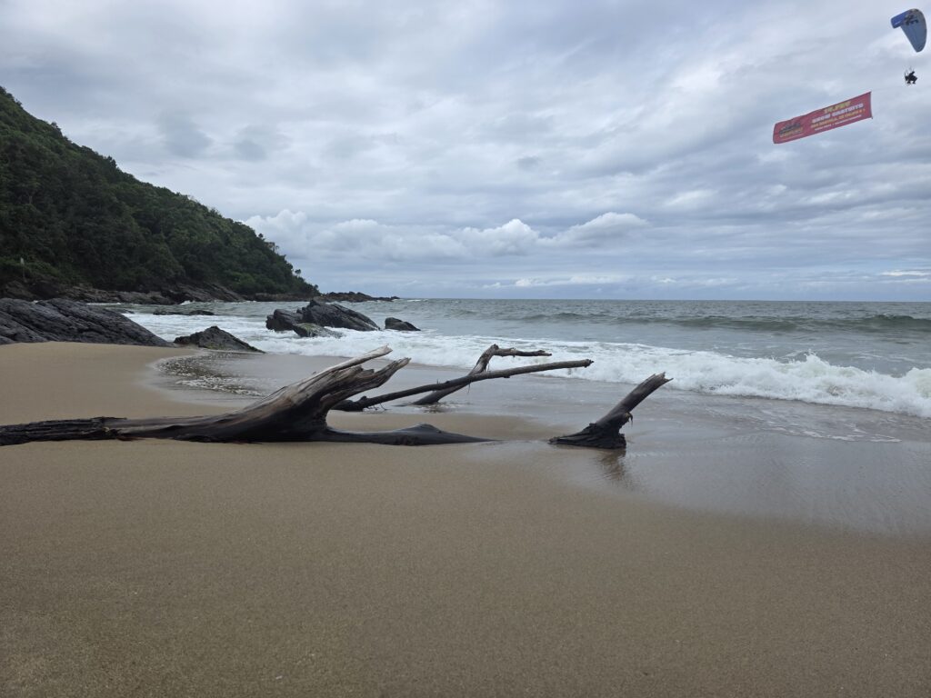 14.02.2026 Brasil (108)