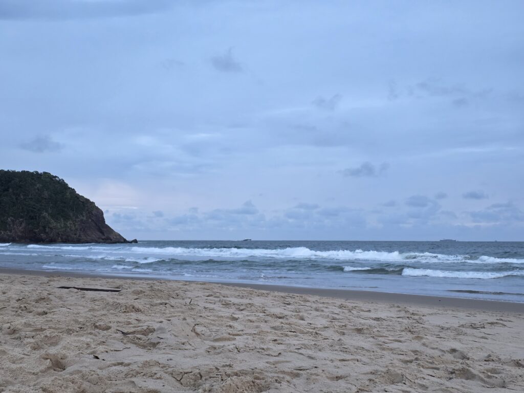 14.02.2026 Brasil (109)