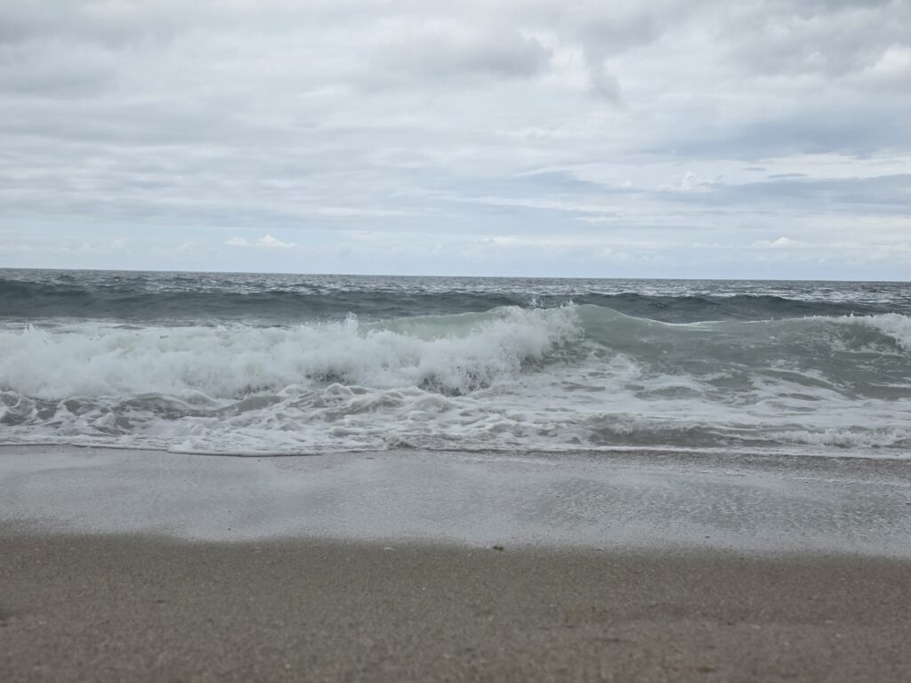 14.02.2026 Brasil (117)