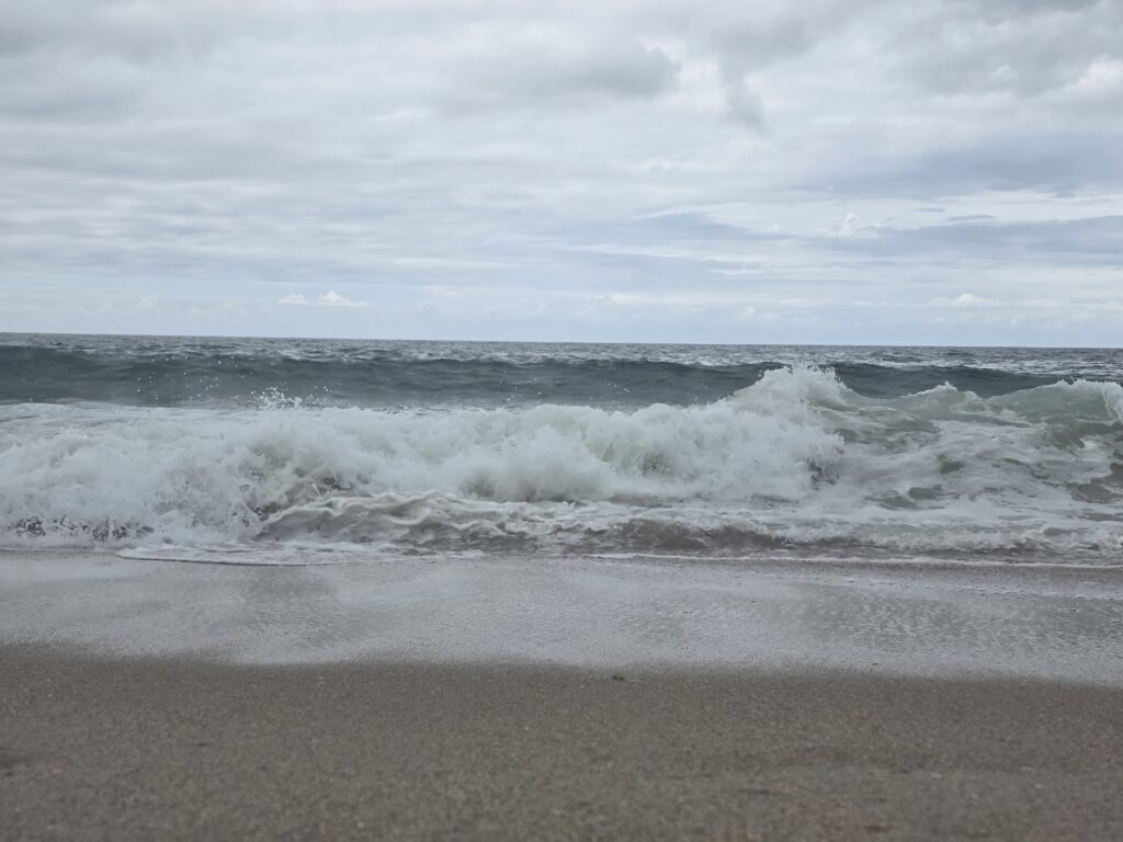 14.02.2026 Brasil (118)