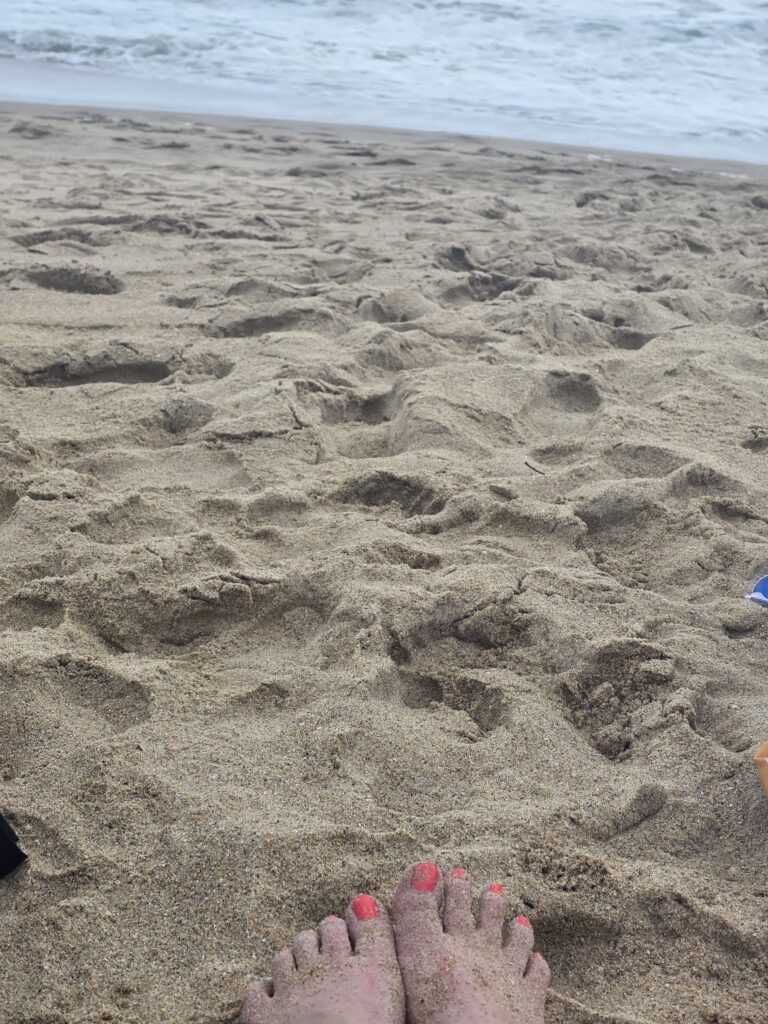 14.02.2026 Brasil (120)