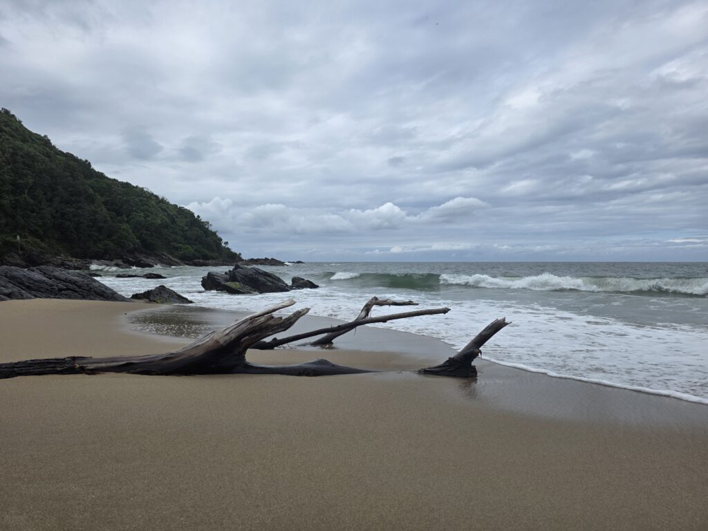 14.02.2026 Brasil (121)