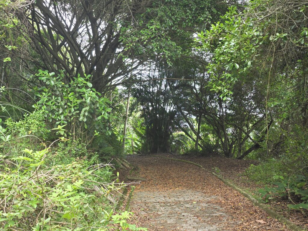 14.02.2026 Brasil (193)