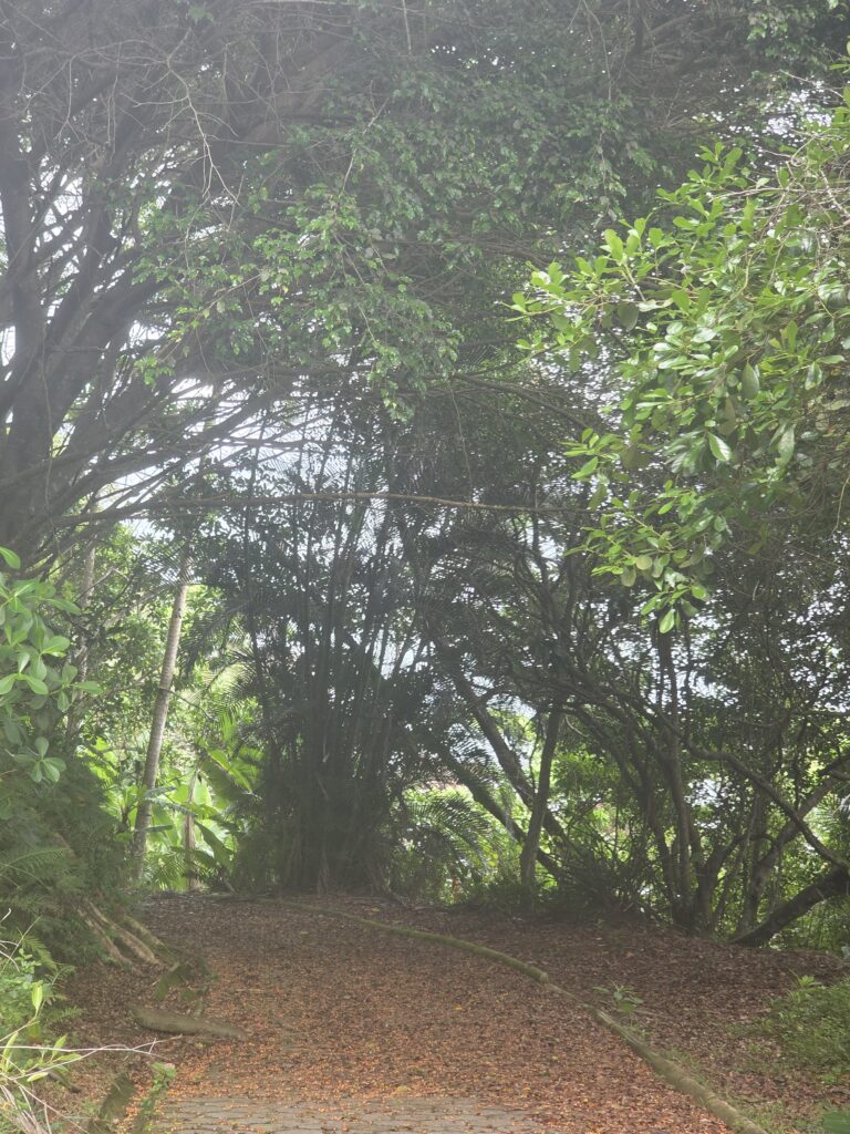 14.02.2026 Brasil (197)