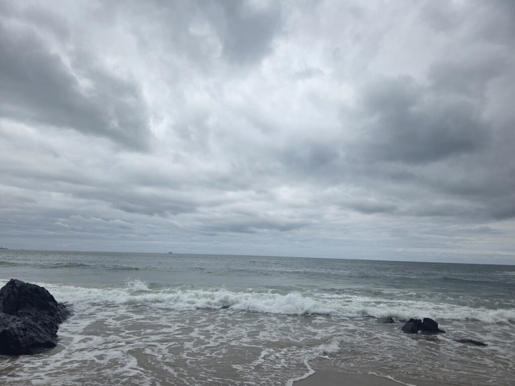 14.02.2026 Brasil (20)