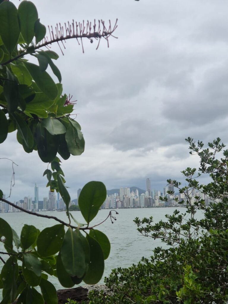 14.02.2026 Brasil (204)