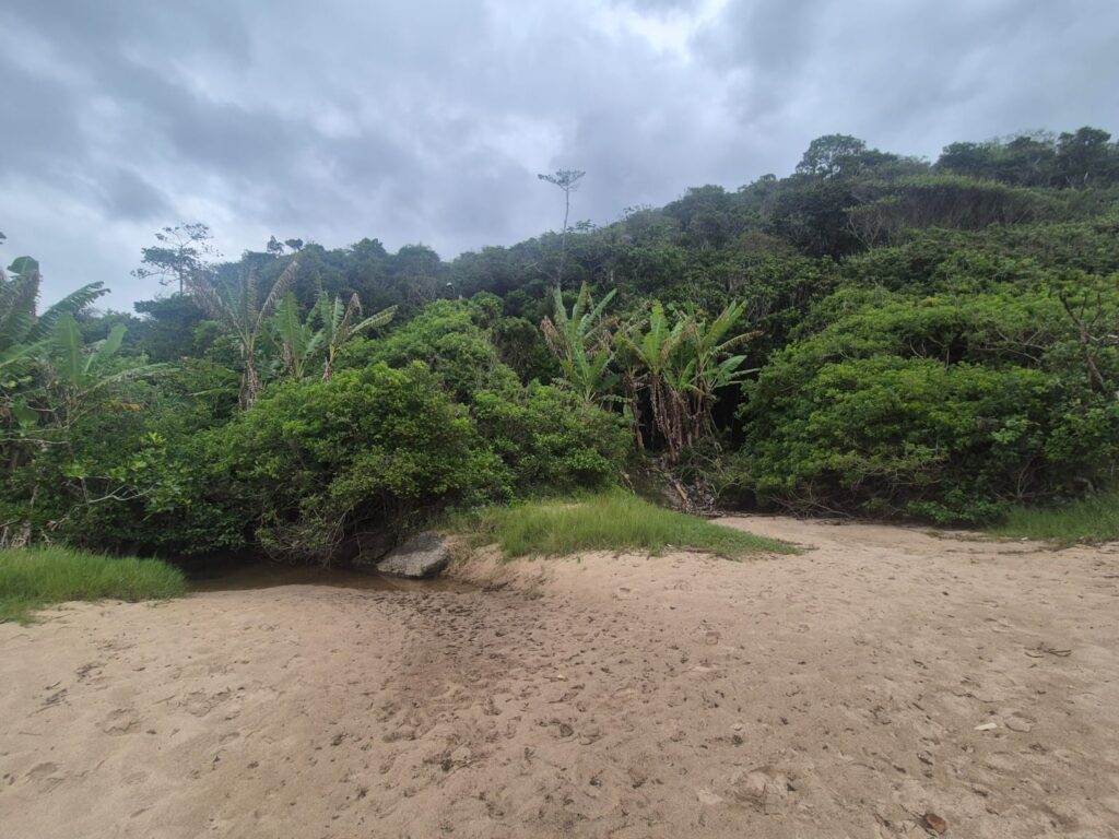 14.02.2026 Brasil (211)