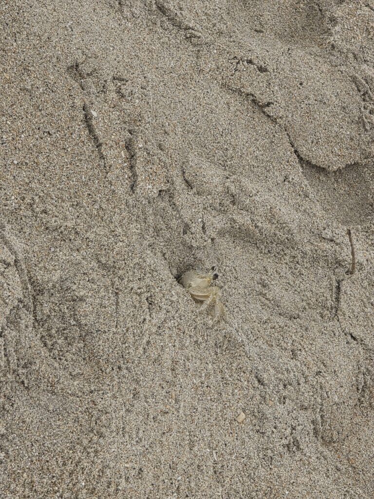 14.02.2026 Brasil (25)