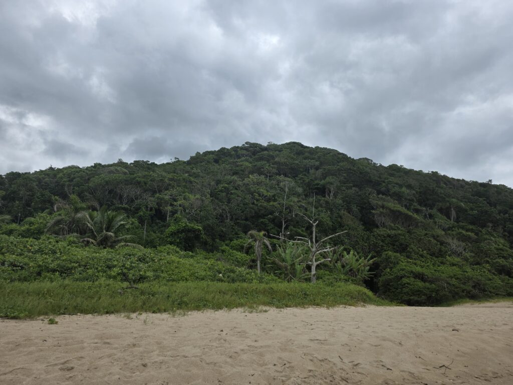 14.02.2026 Brasil (27)