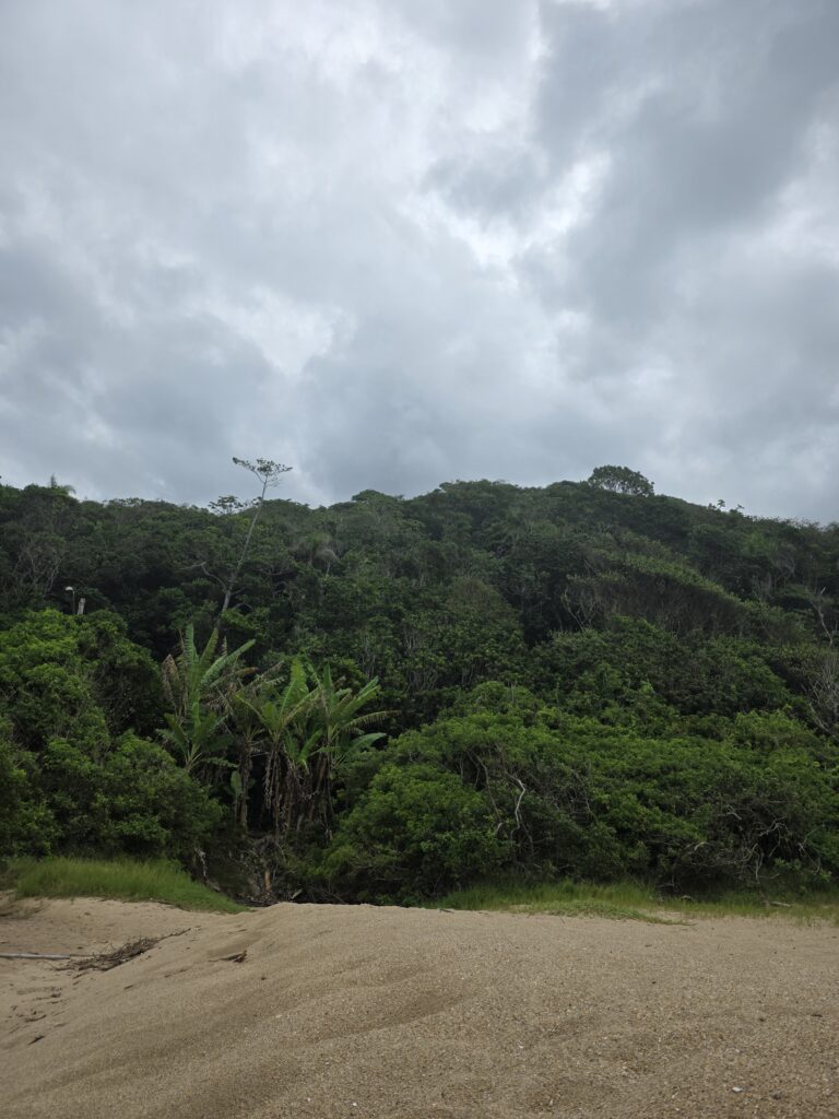 14.02.2026 Brasil (28)