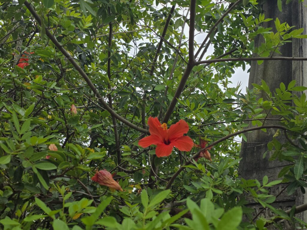 14.02.2026 Brasil (29)