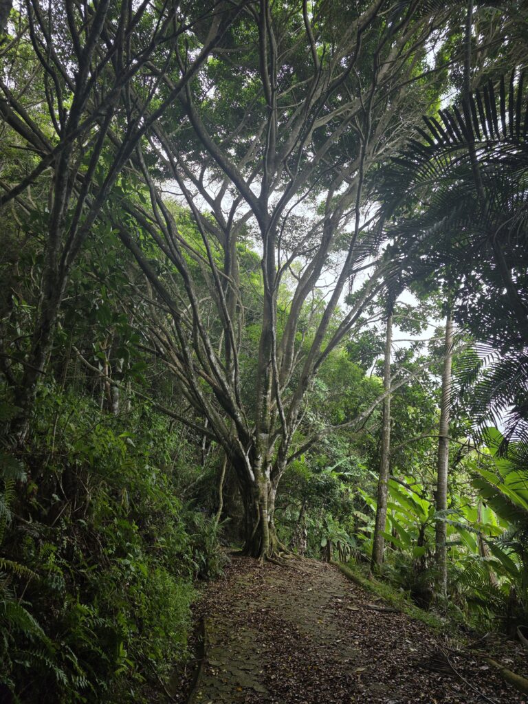 14.02.2026 Brasil (3)