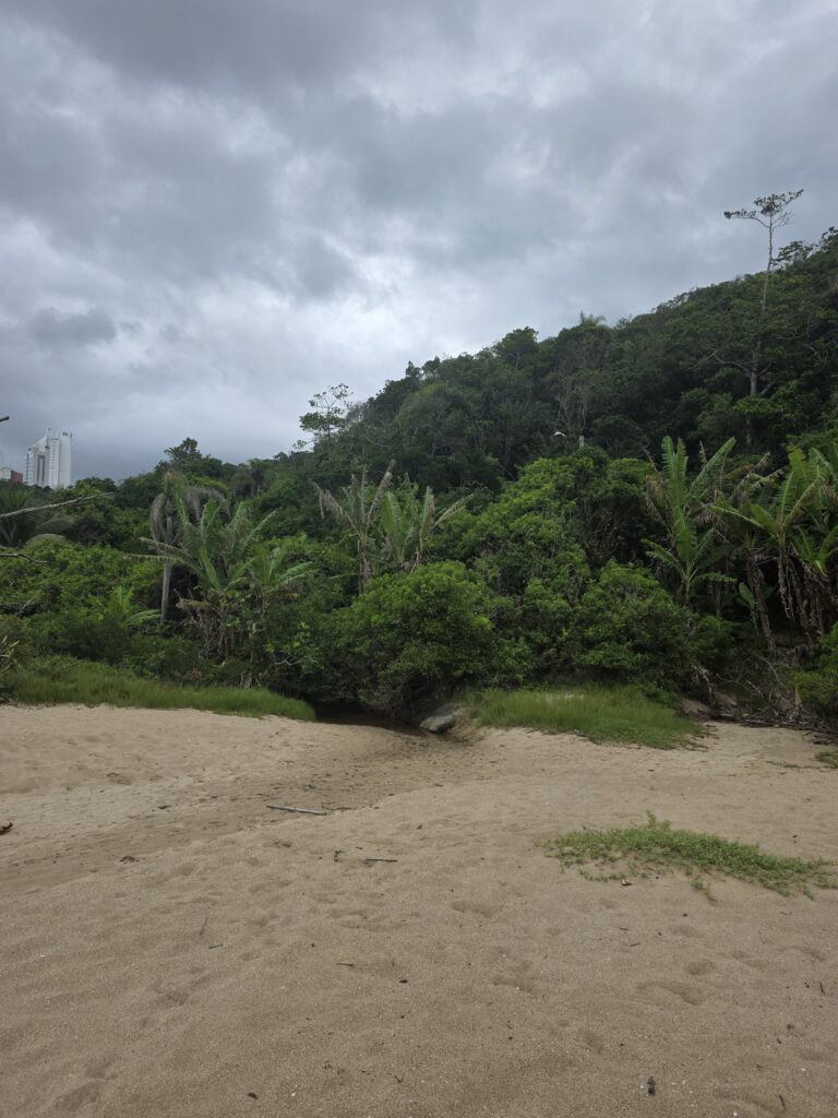 14.02.2026 Brasil (41)