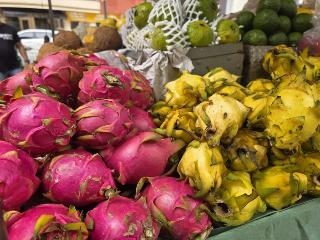 14.02.2026 Brasil (46)