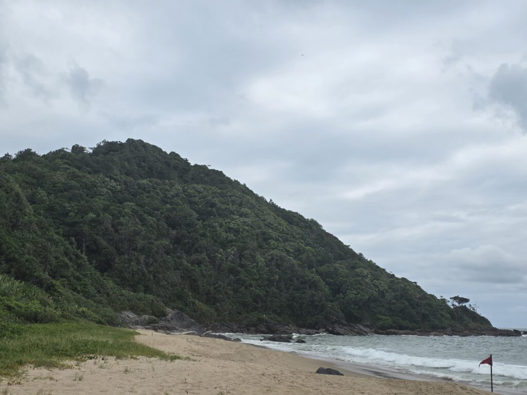 14.02.2026 Brasil (49)