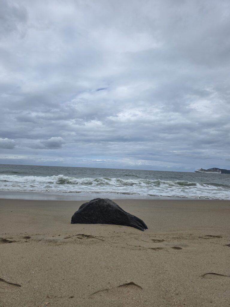 14.02.2026 Brasil (50)