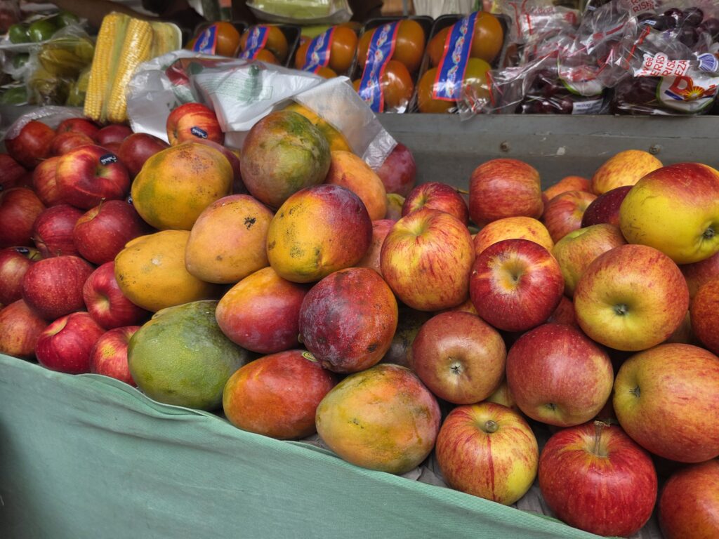 14.02.2026 Brasil (54)