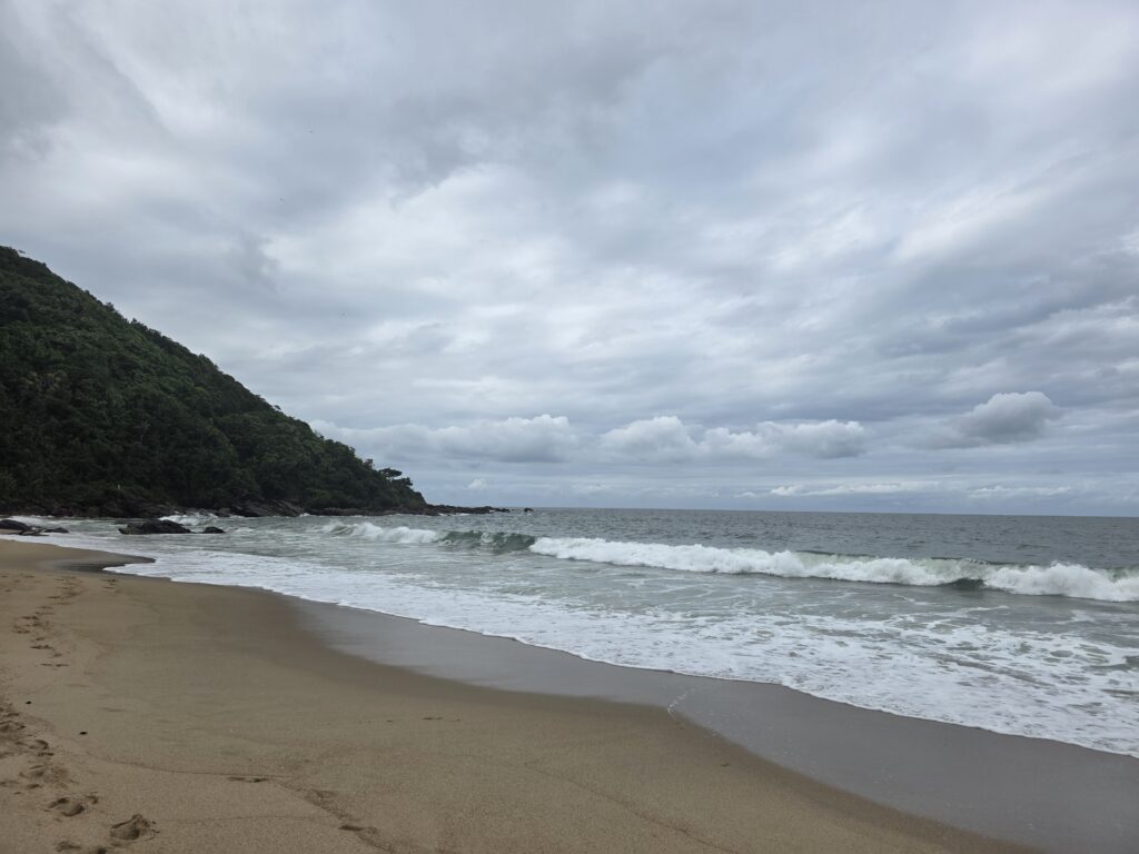 14.02.2026 Brasil (56)