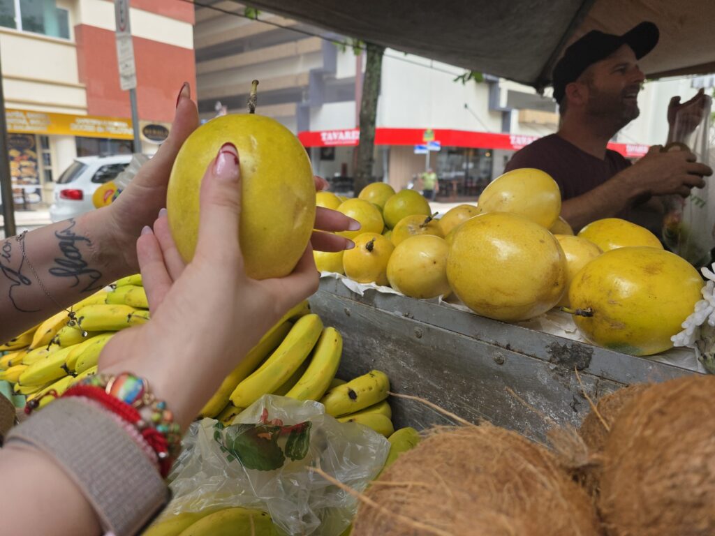 14.02.2026 Brasil (65)