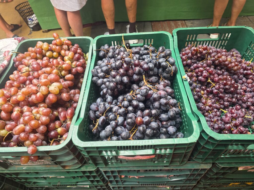 14.02.2026 Brasil (69)