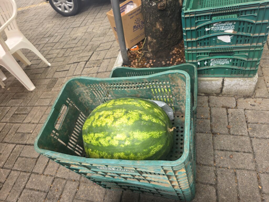 14.02.2026 Brasil (70)