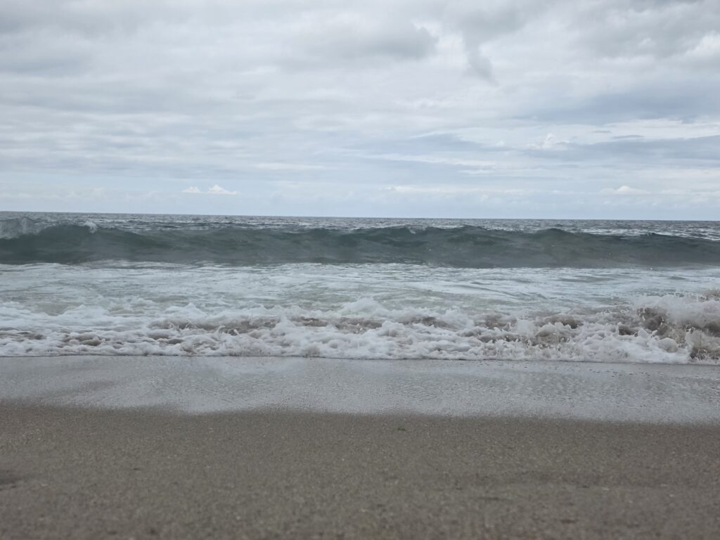 14.02.2026 Brasil (76)