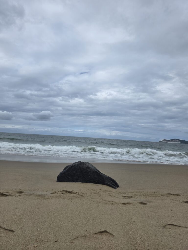 14.02.2026 Brasil (77)