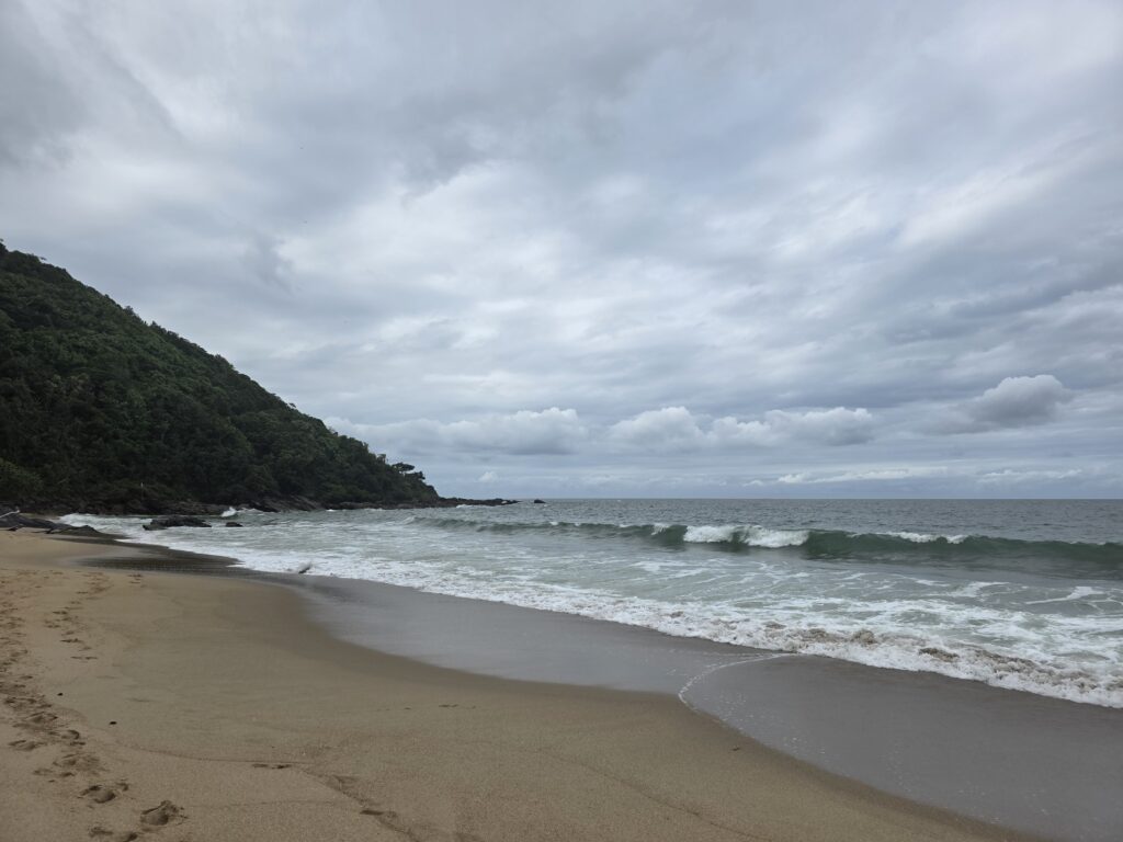 14.02.2026 Brasil (78)