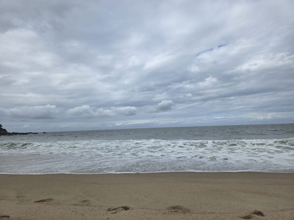 14.02.2026 Brasil (79)