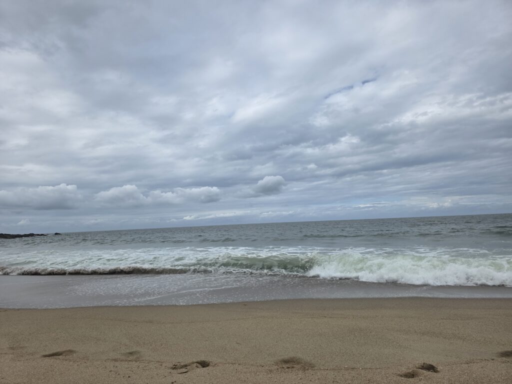 14.02.2026 Brasil (80)