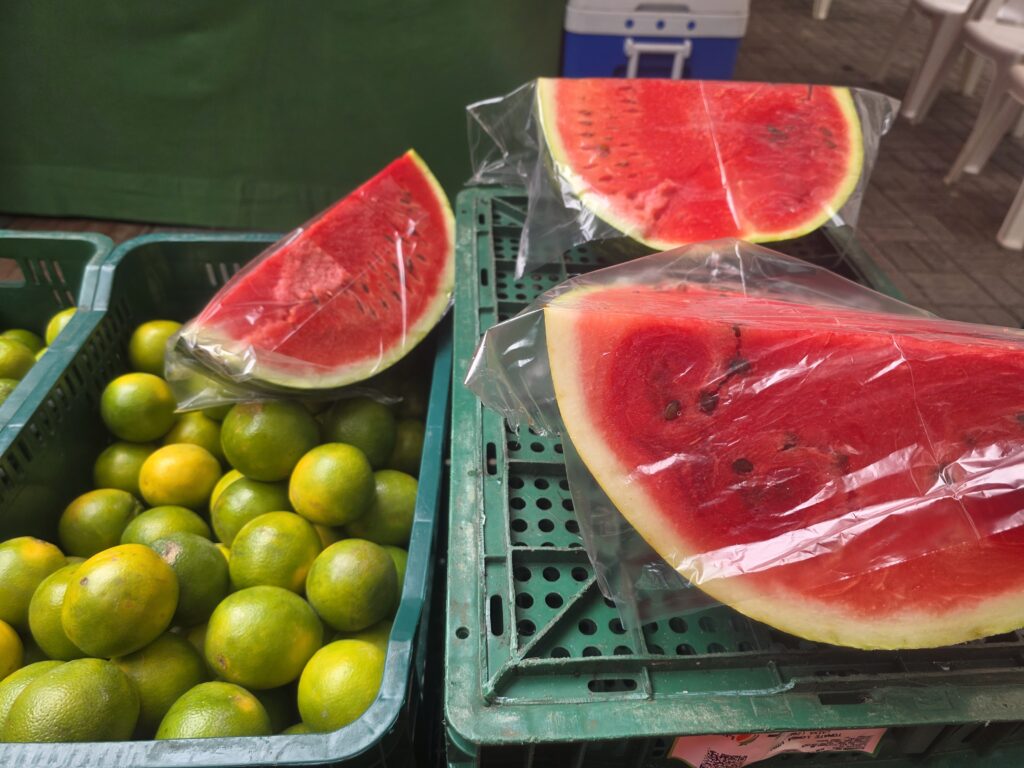 14.02.2026 Brasil (87)