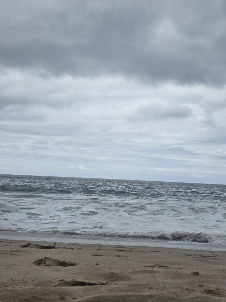 14.02.2026 Brasil (88)