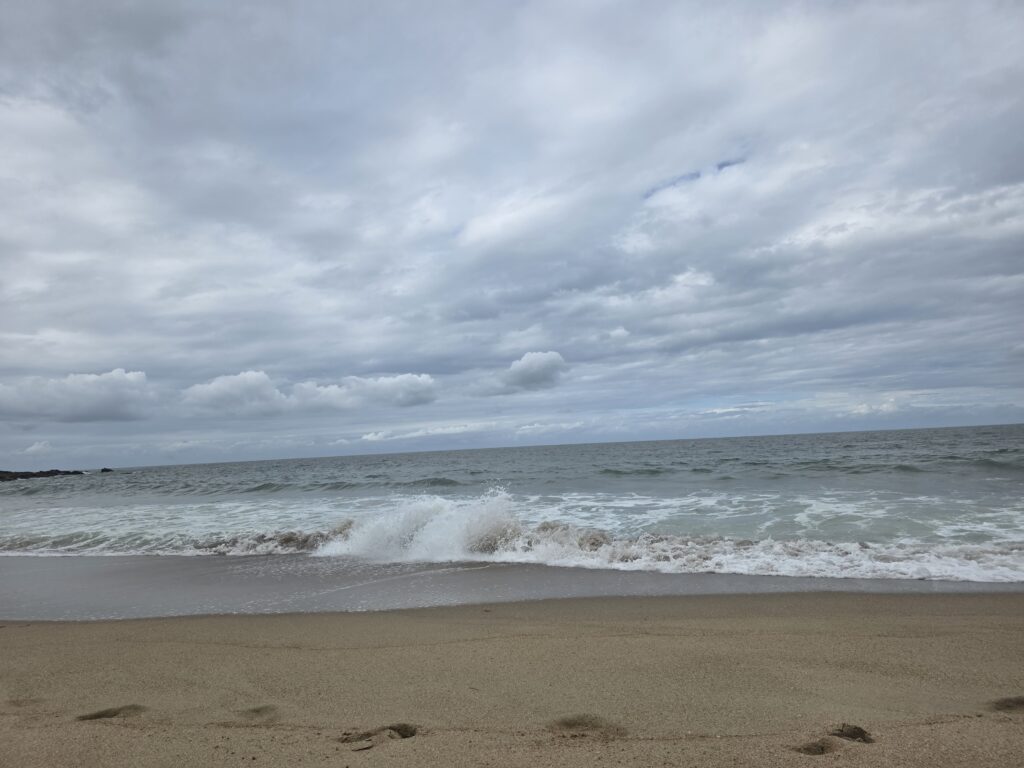 14.02.2026 Brasil (89)