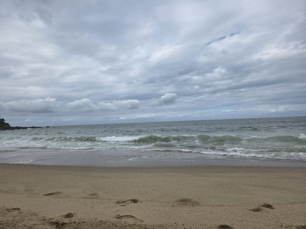 14.02.2026 Brasil (90)