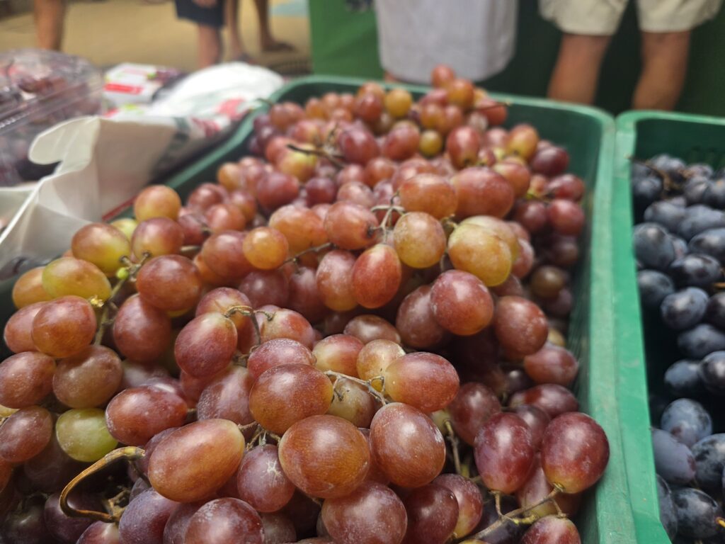 14.02.2026 Brasil (91)