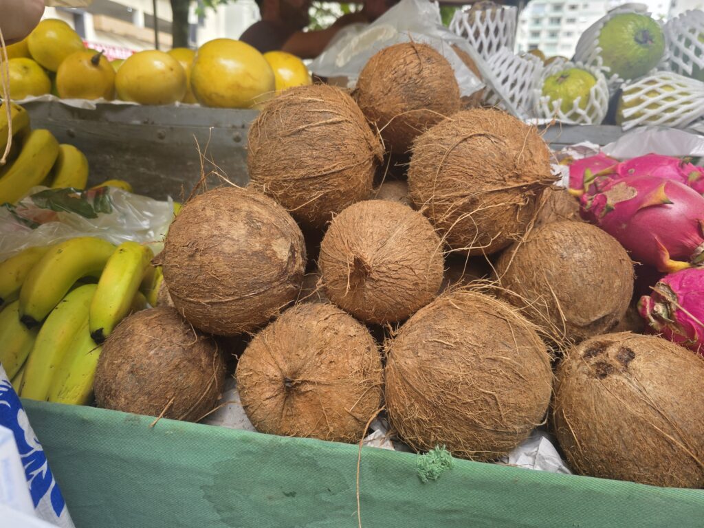 14.02.2026 Brasil (92)